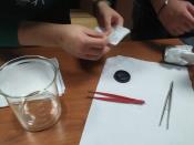 IMG-20200204-WA0035.jpg